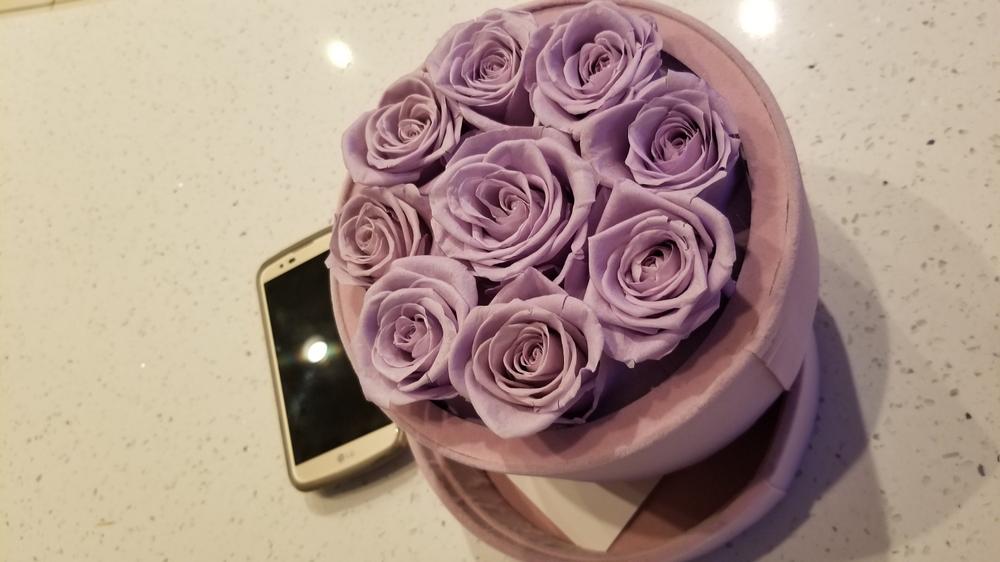Lilac Roses suede 9 - Customer Photo From Humelyn merchant