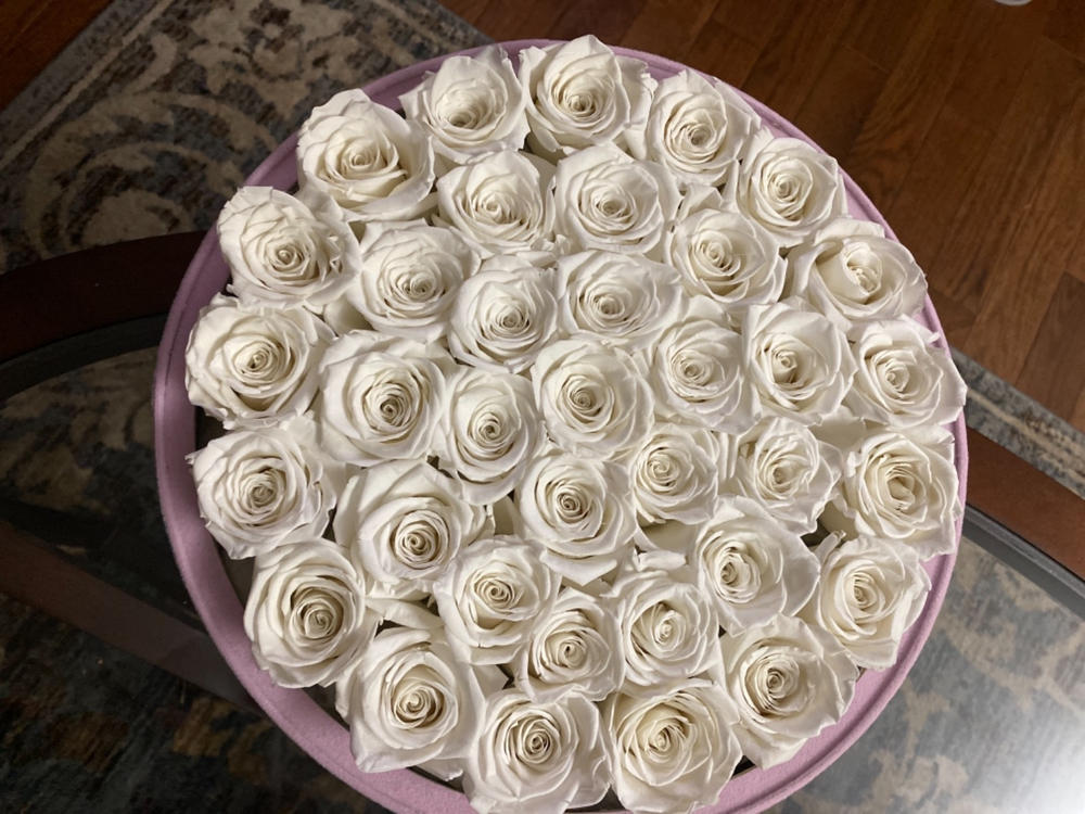 White Roses suede 36 - Customer Photo From Stacy Ejem