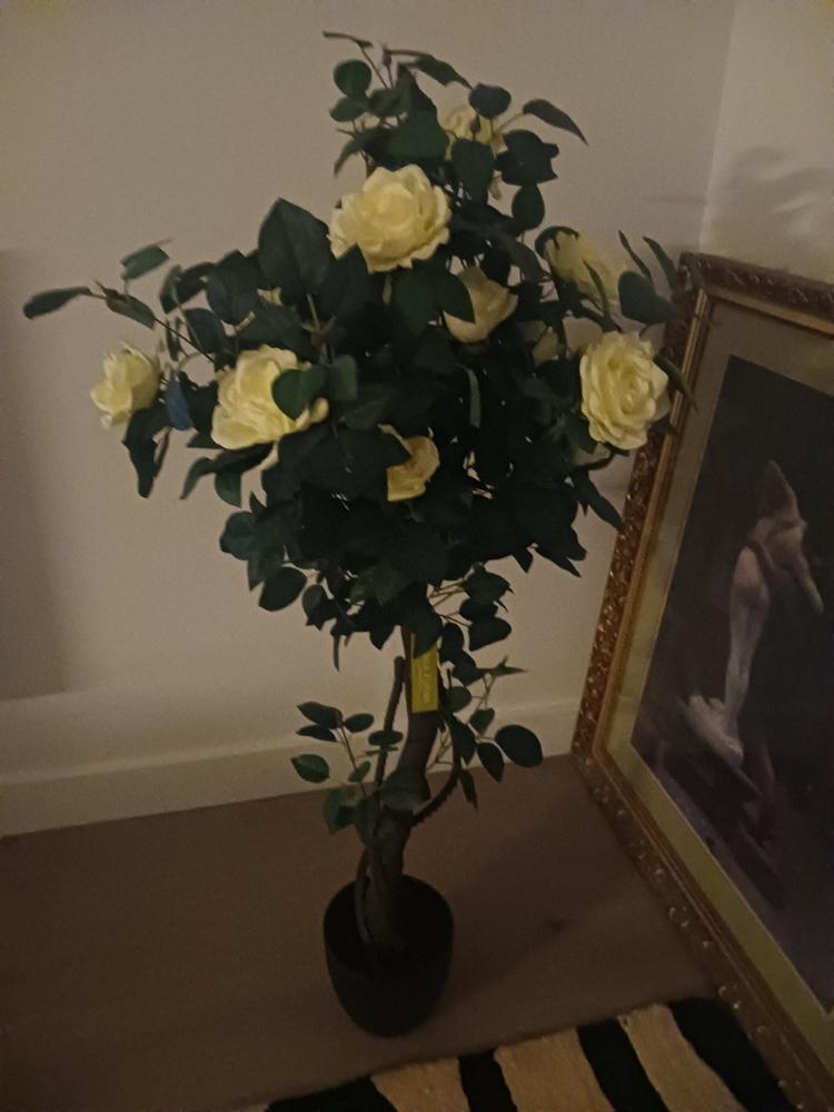 Rose Topiary Potted White Artificial Tree - 130cmH - Customer Photo From Teresa Green