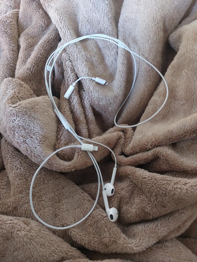 Apple EarPods with Lightning Connector - MMTN2ZM/A - Customer Photo From M Hasham Pansota