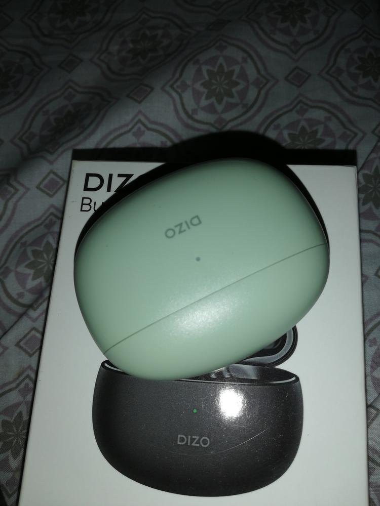 Dizo Buds Z Bluetooth Earbuds (by Realme TechLife) – Leaf - Customer Photo From Awais Kazi