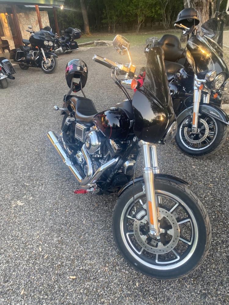 Tc bros best sale sissy bar dyna