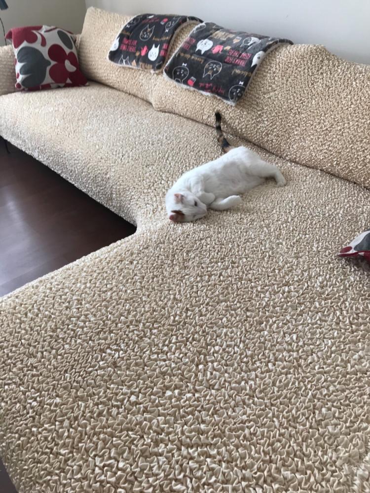 Microfibra - Funda Sofa L Derecho Vanilla - Customer Photo From Natalia Encina