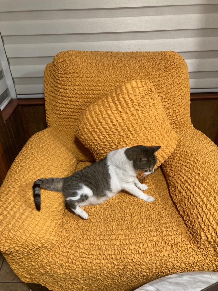 Microfibra - 2 Fundas Cojines Mango - Customer Photo From Eliana Riquelme