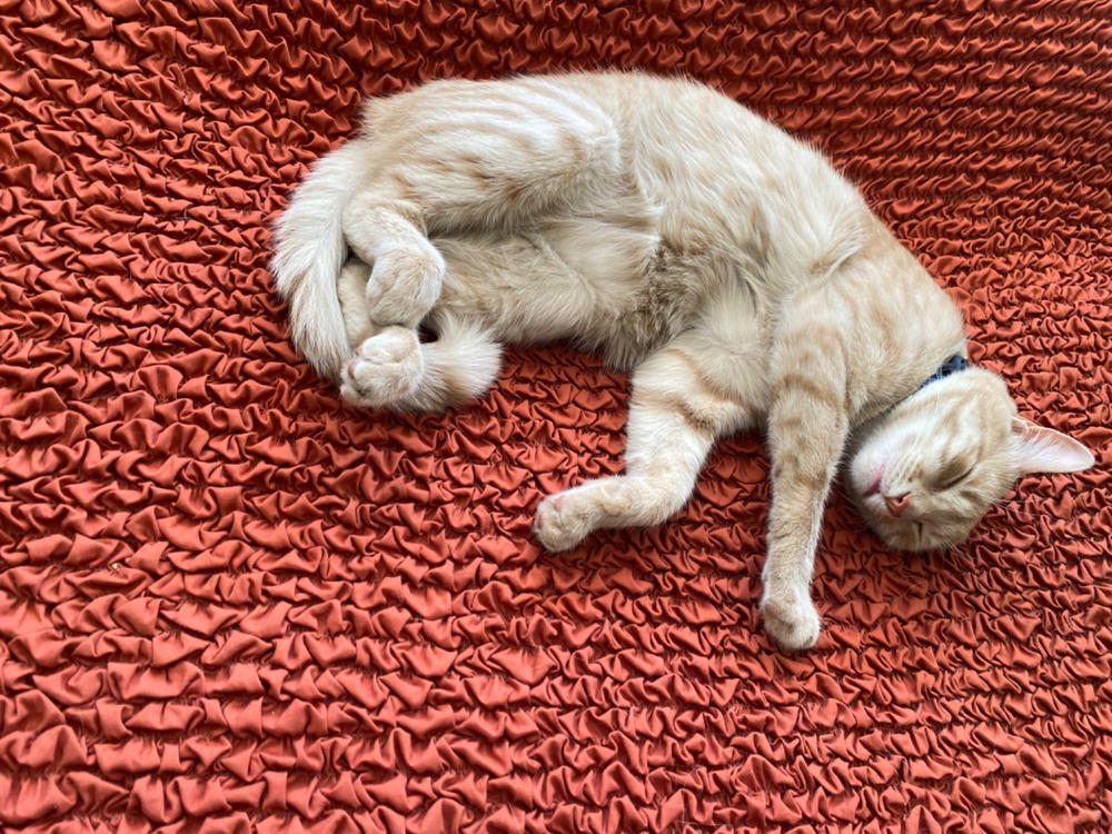 Microfibra - Funda Futon Terracota - Customer Photo From Sebastian Cruz