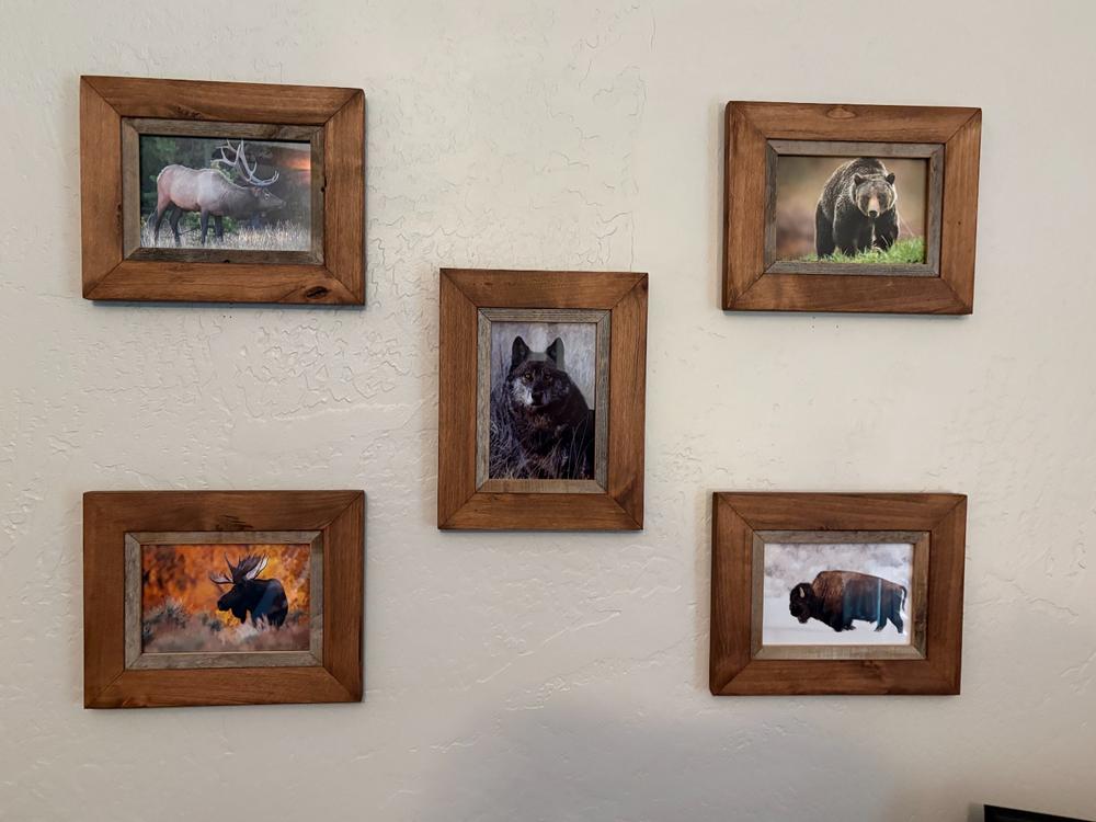 Barnwood Frames | 8.5x11 Dark Stained Alder Wood Picture Frame