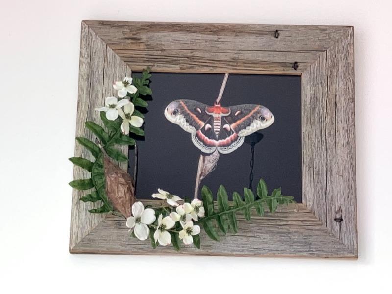 16x20 Rustic Barnwood Picture Frames, 3 inch Wide, Homestead Series