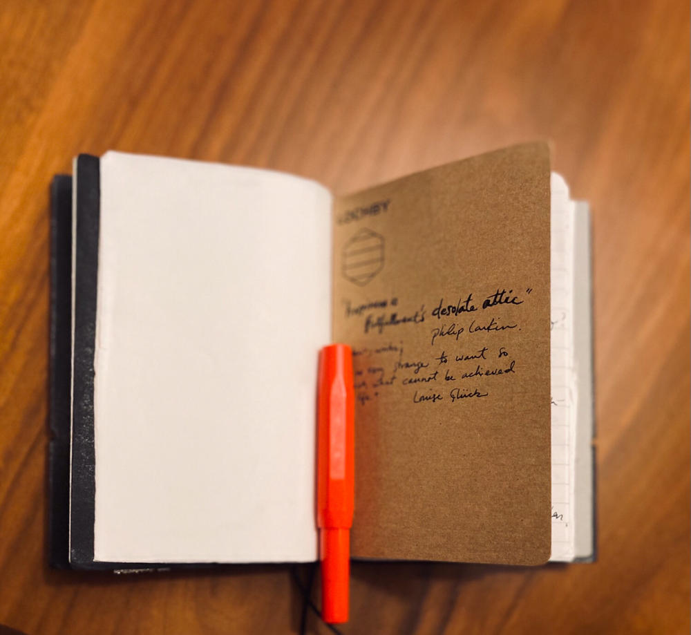 Pocket Journal Refill - Customer Photo From Lydia Hanson