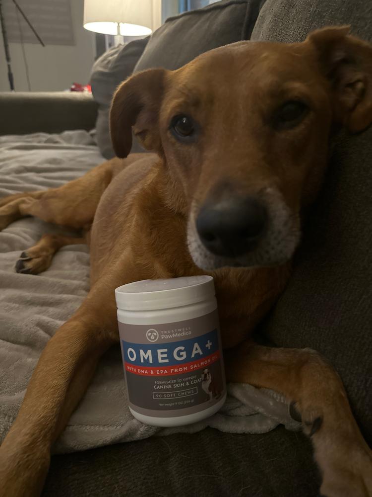 Omega Skin & Coat Chews for Dogs - Customer Photo From Lynn Homer