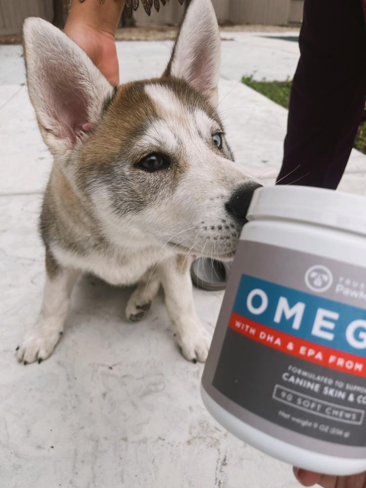 Omega Skin & Coat Chews for Dogs - Customer Photo From Aqsa Balouch