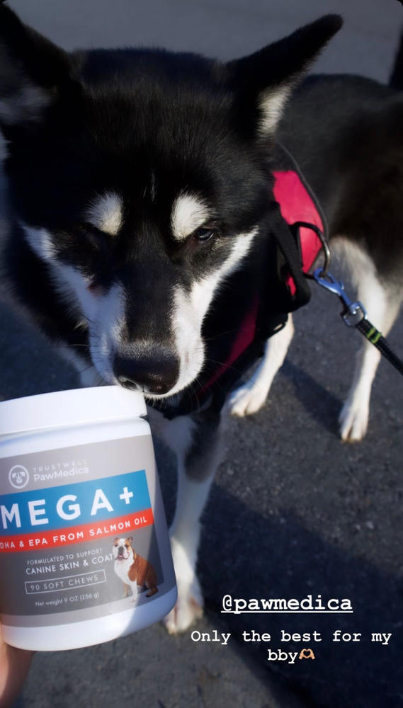 Omega Skin & Coat Chews for Dogs - Customer Photo From Emily Hutchinson