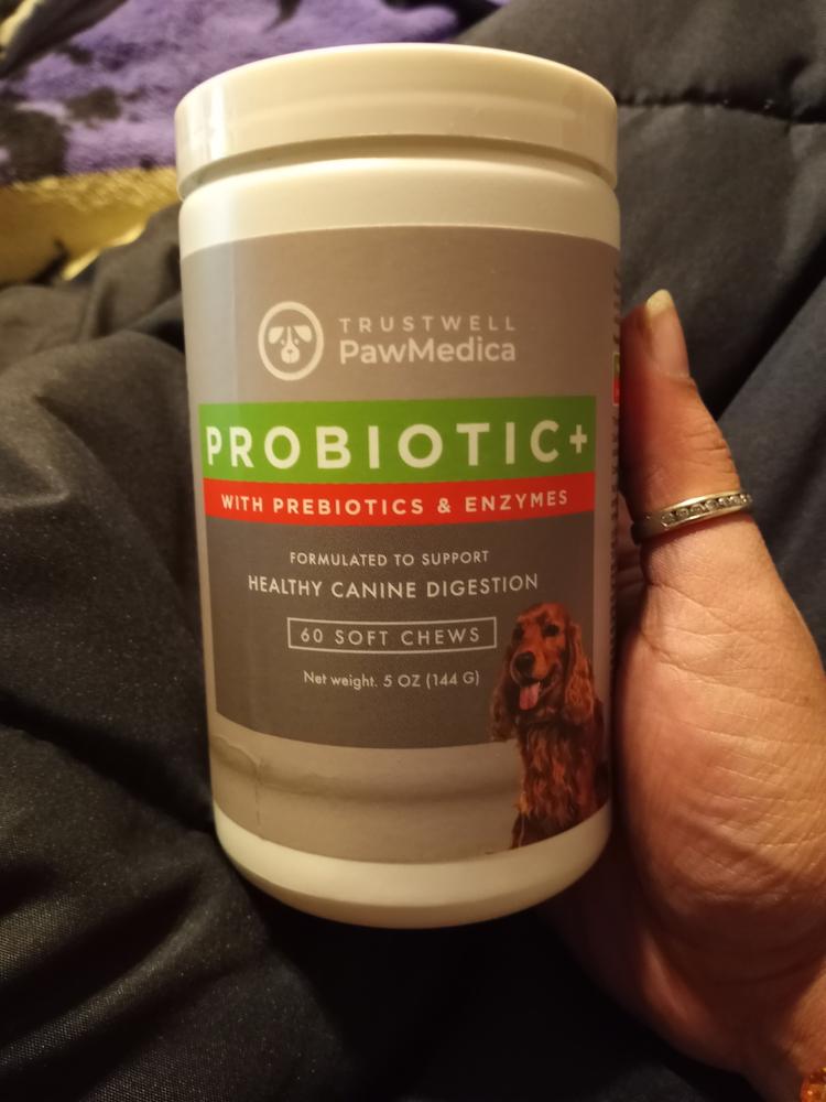 Dog Probiotics & Digestive Enzymes - Customer Photo From Nicolette