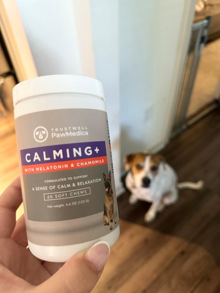 Calming Treats for Dogs - Customer Photo From Sara H.