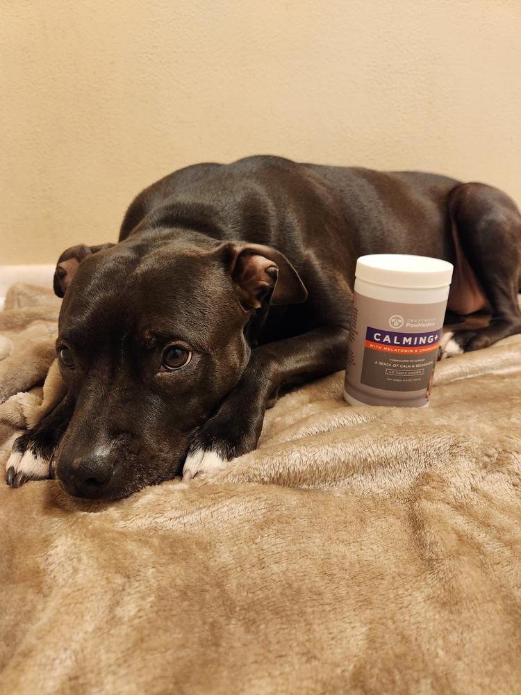 Calming Treats for Dogs - Customer Photo From Melissa B
