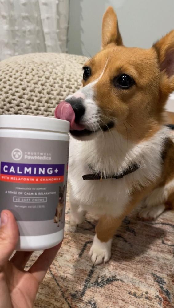 Calming Treats for Dogs - Customer Photo From Katie