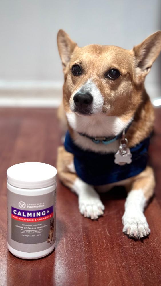 Calming Treats for Dogs - Customer Photo From Tana