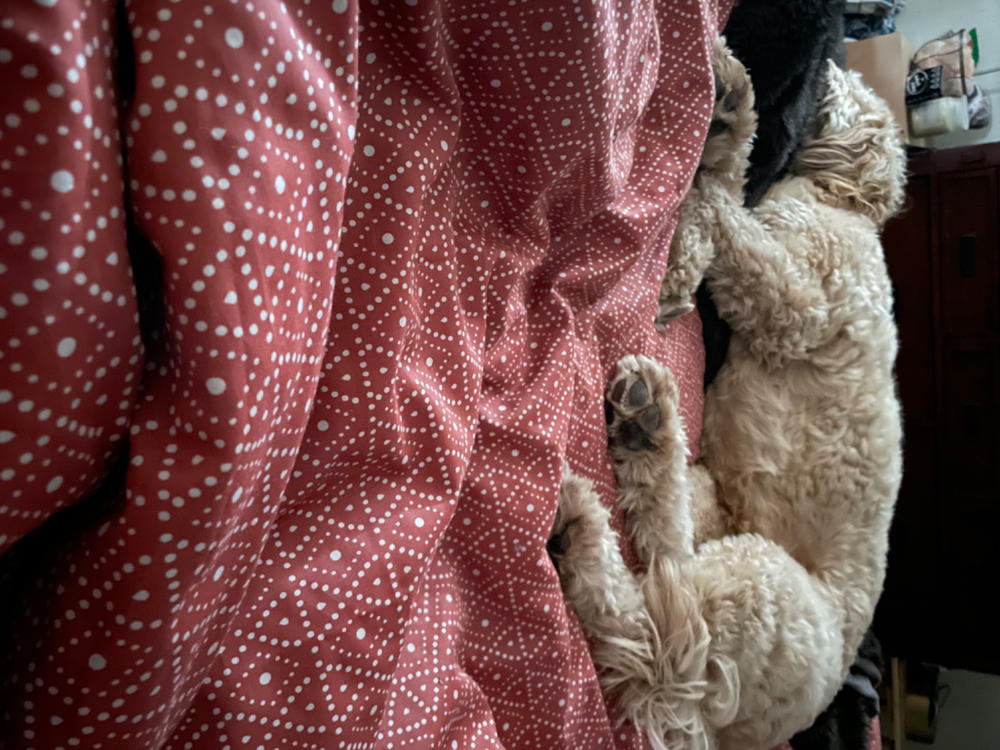 Sateen New-Way Duvet Cover - Customer Photo From Francine L.