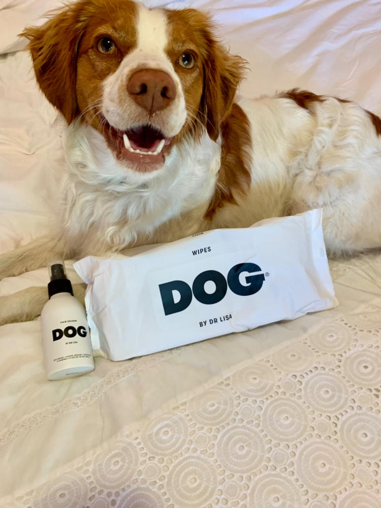 DOG Calm Cologne - Customer Photo From Kirsty Tite