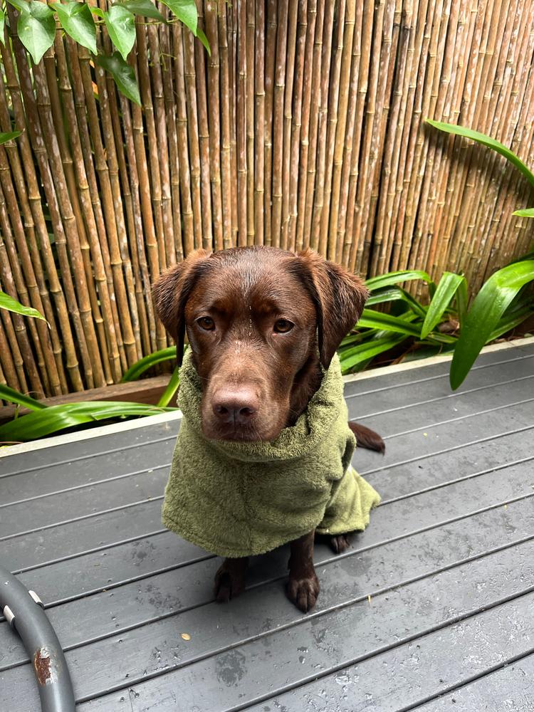 DOG Poncho - Olive – DOG by Dr Lisa