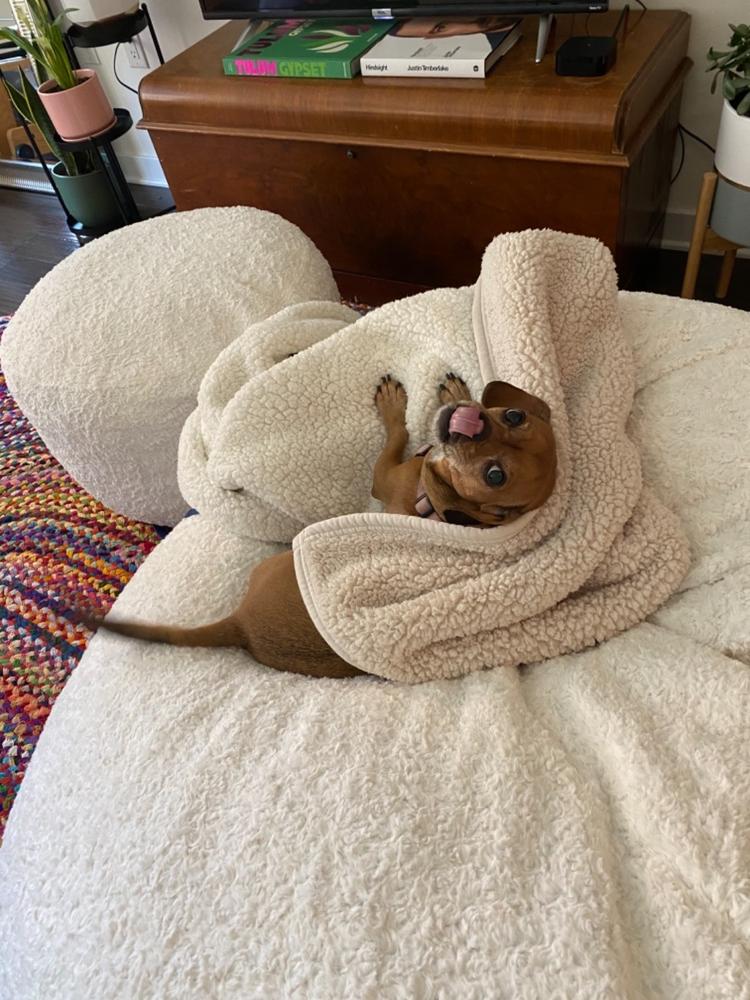 Pouf / Footstool - Faux Fur - Customer Photo From Margie Mead