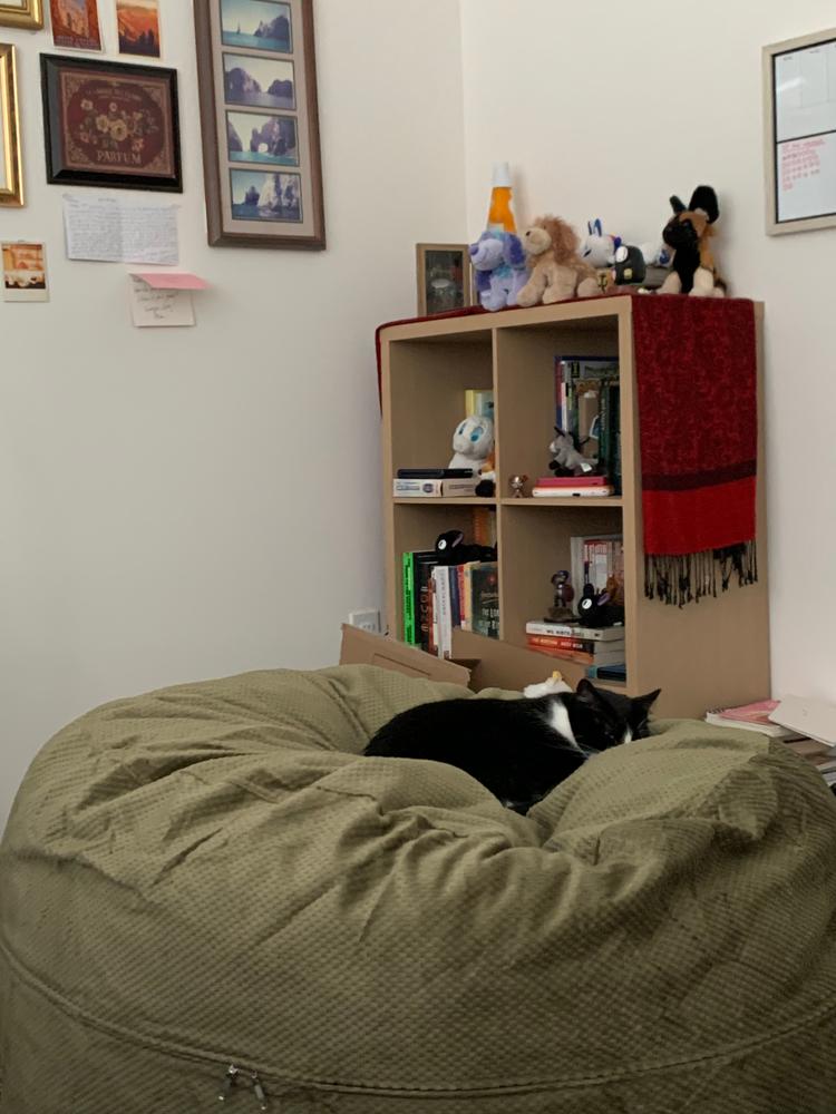 Bean Bag - Full - Chenille - Customer Photo From Kelsey