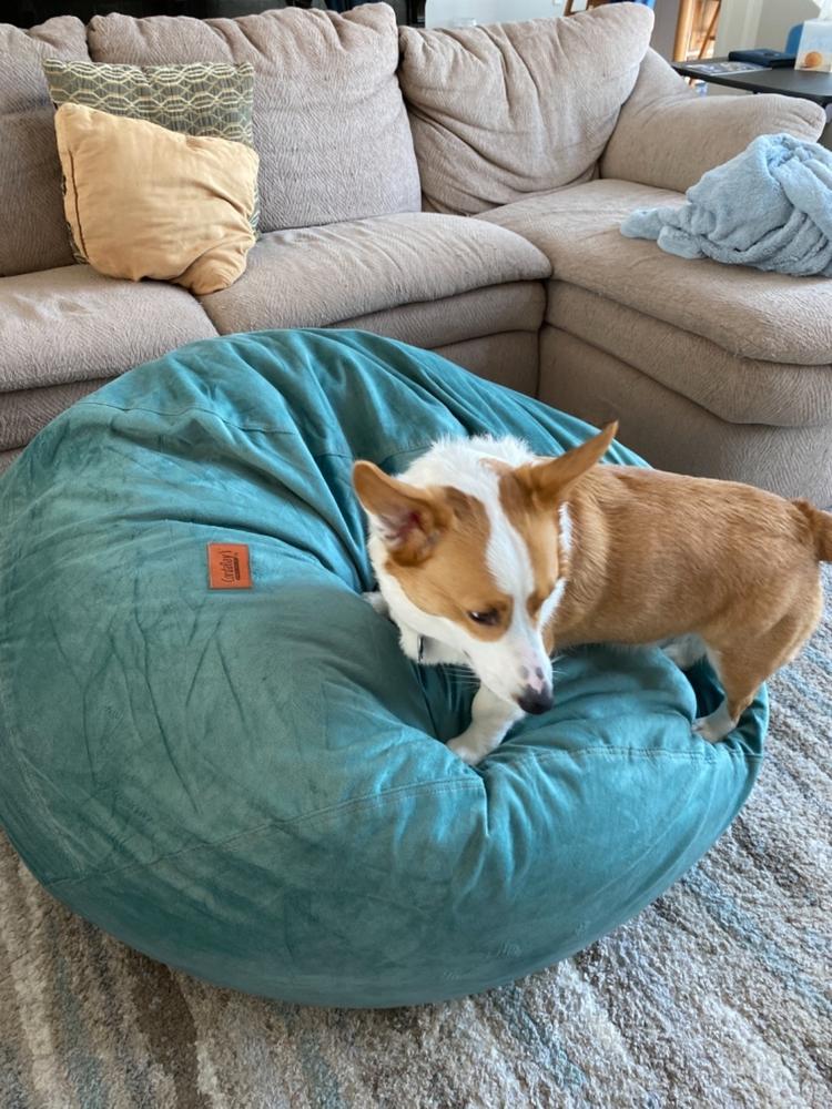 Waterproof Protector for Full Chair - Customer Photo From Donna Bolish