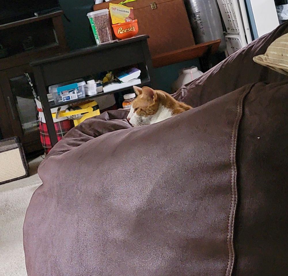 Bean Bag - King - Faux Leather - Customer Photo From Regina Kauffman