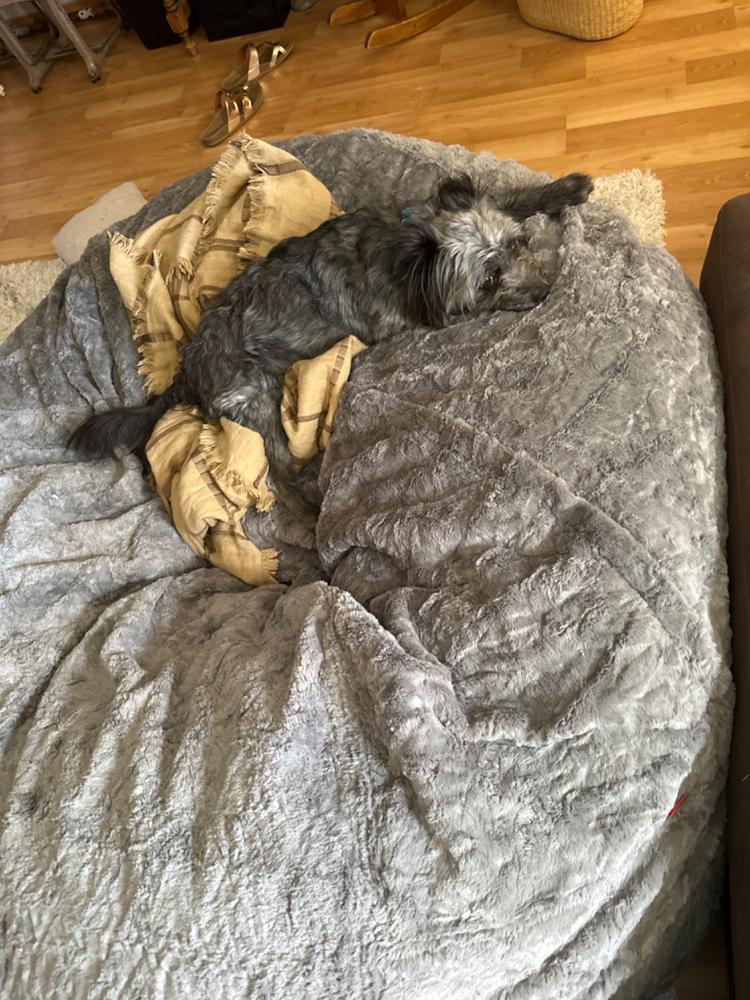 Waterproof Protector for King Bean Bag - Customer Photo From Kendra Koopman