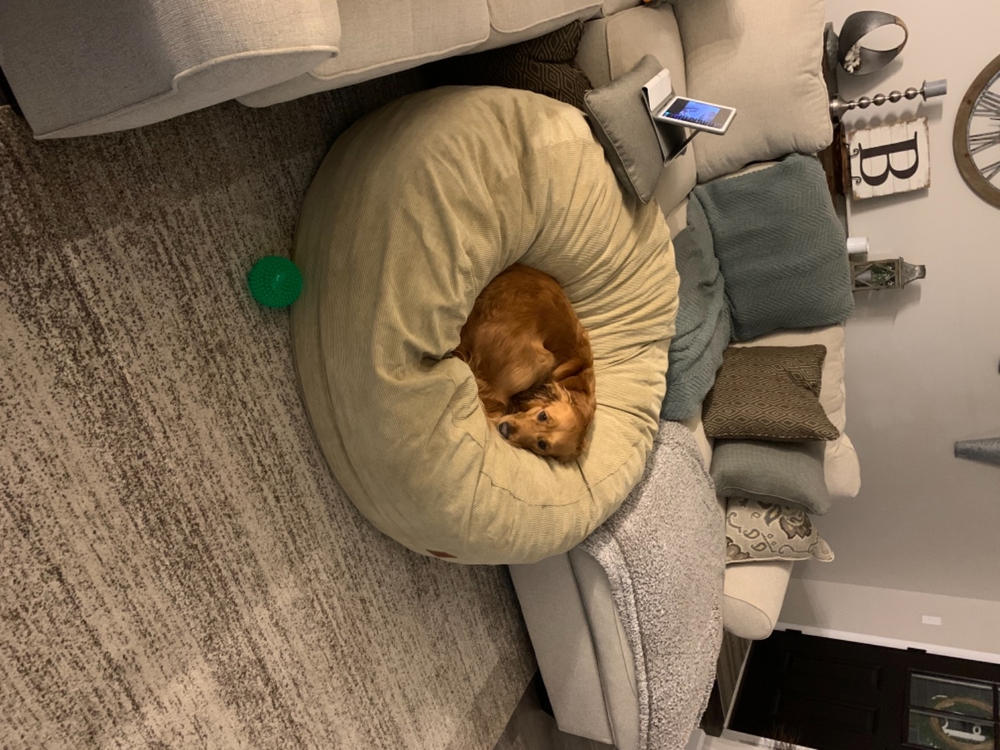 Bean Bag - Queen - Corduroy - Customer Photo From Logan Bunger