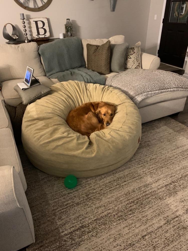 Bean Bag - Queen - Corduroy - Customer Photo From Logan Bunger