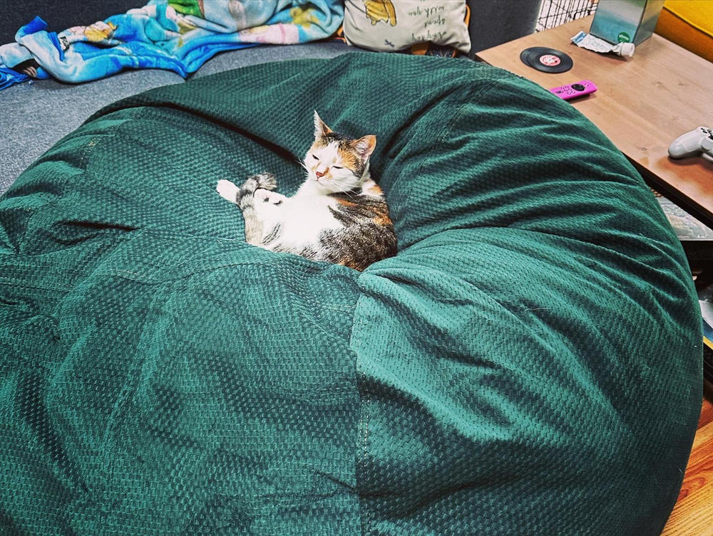 Bean Bag - Queen - Chenille - Customer Photo From Tanya Wagner