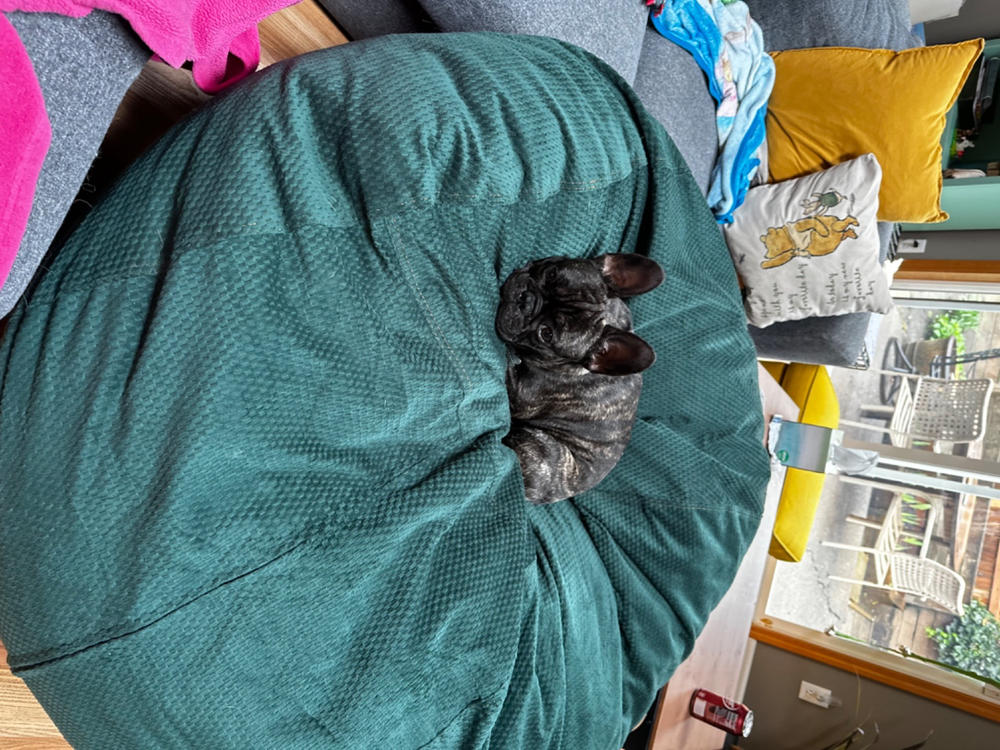 Bean Bag - Queen - Chenille - Customer Photo From Tanya Wagner