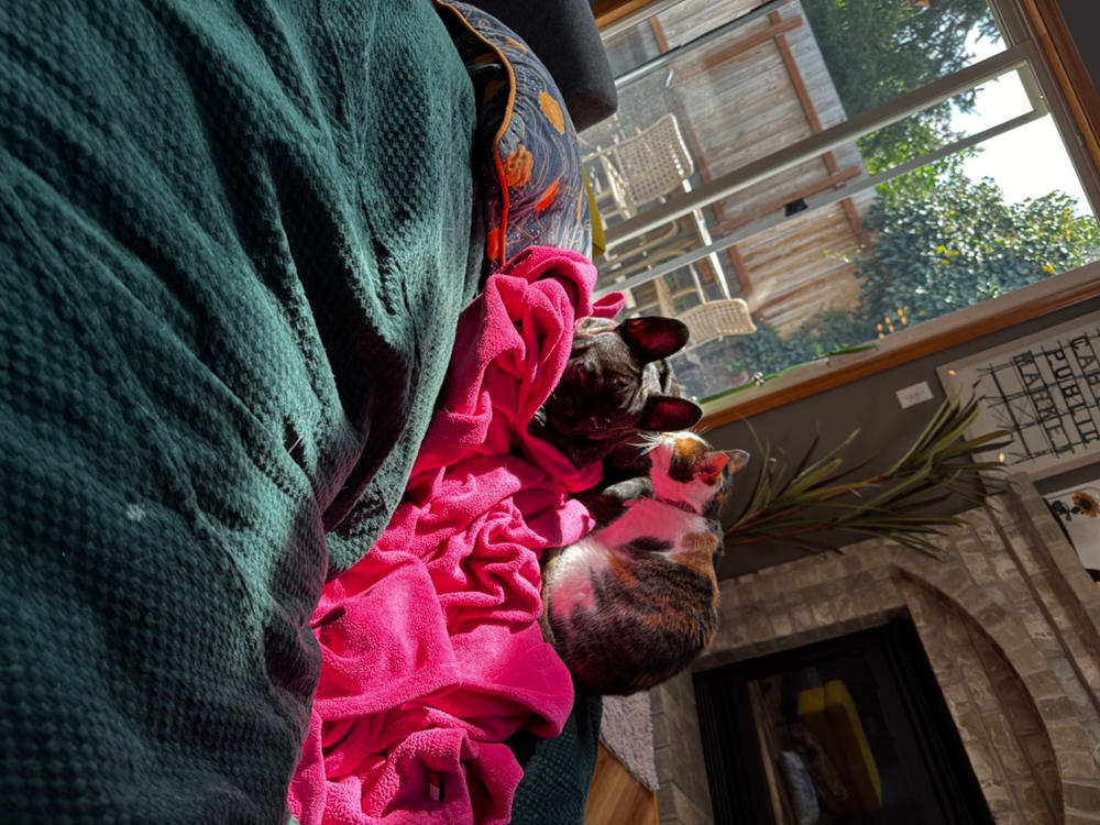 Bean Bag - Queen - Chenille - Customer Photo From Tanya Wagner