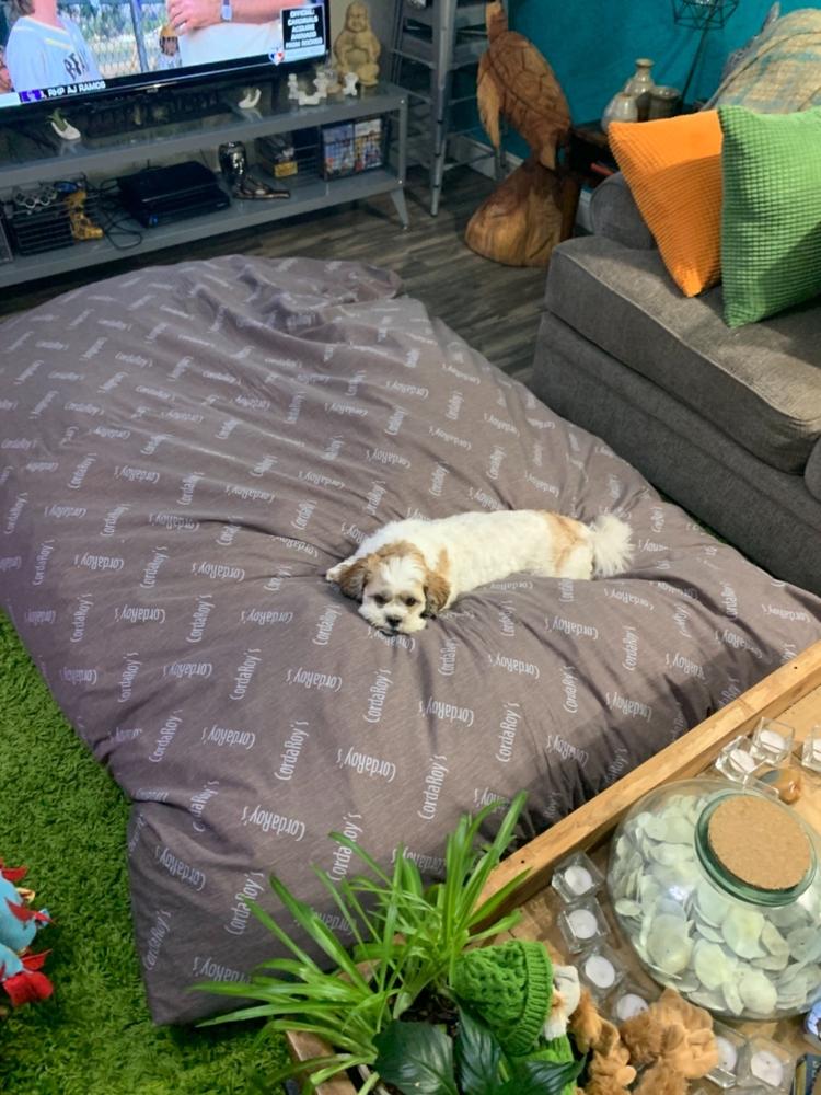 Waterproof Protector for Queen Chair - Customer Photo From Anonymous