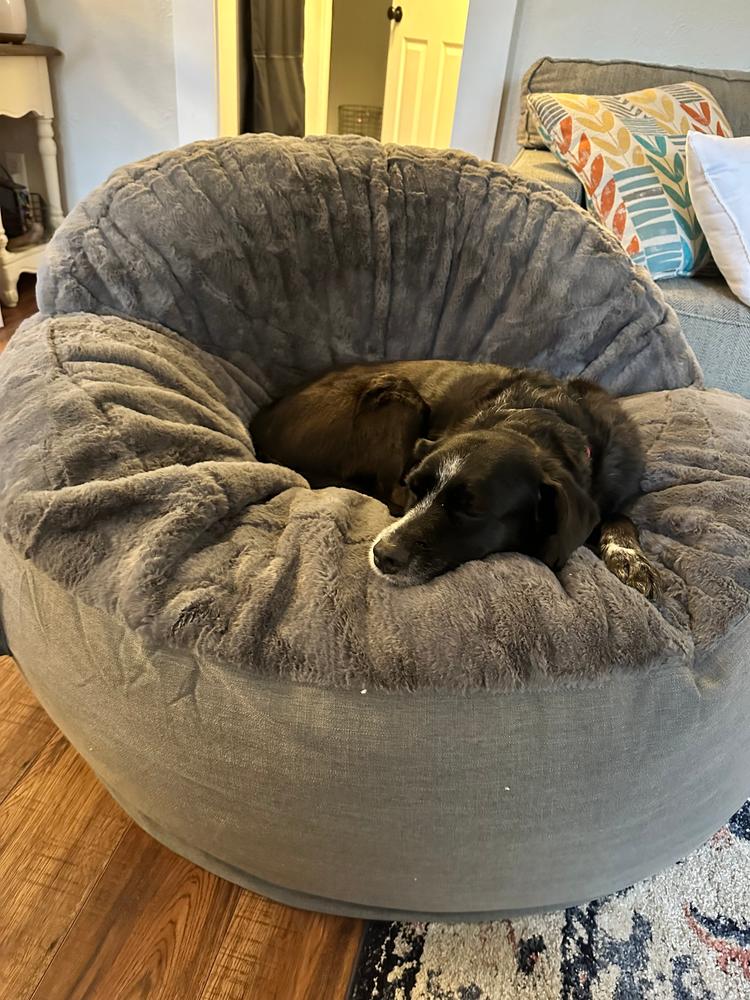 Adult Bean Bag Chair - Full - NEST Bunny Fur - Customer Photo From Ashley