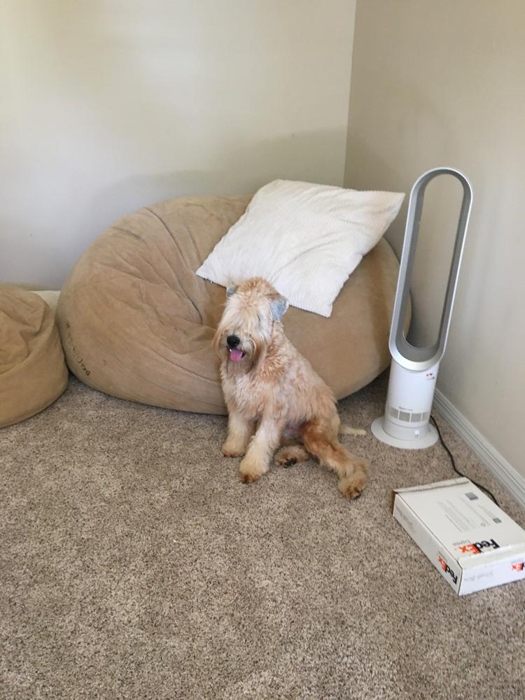 King Cover - Terry Corduroy - Customer Photo From Anonymous