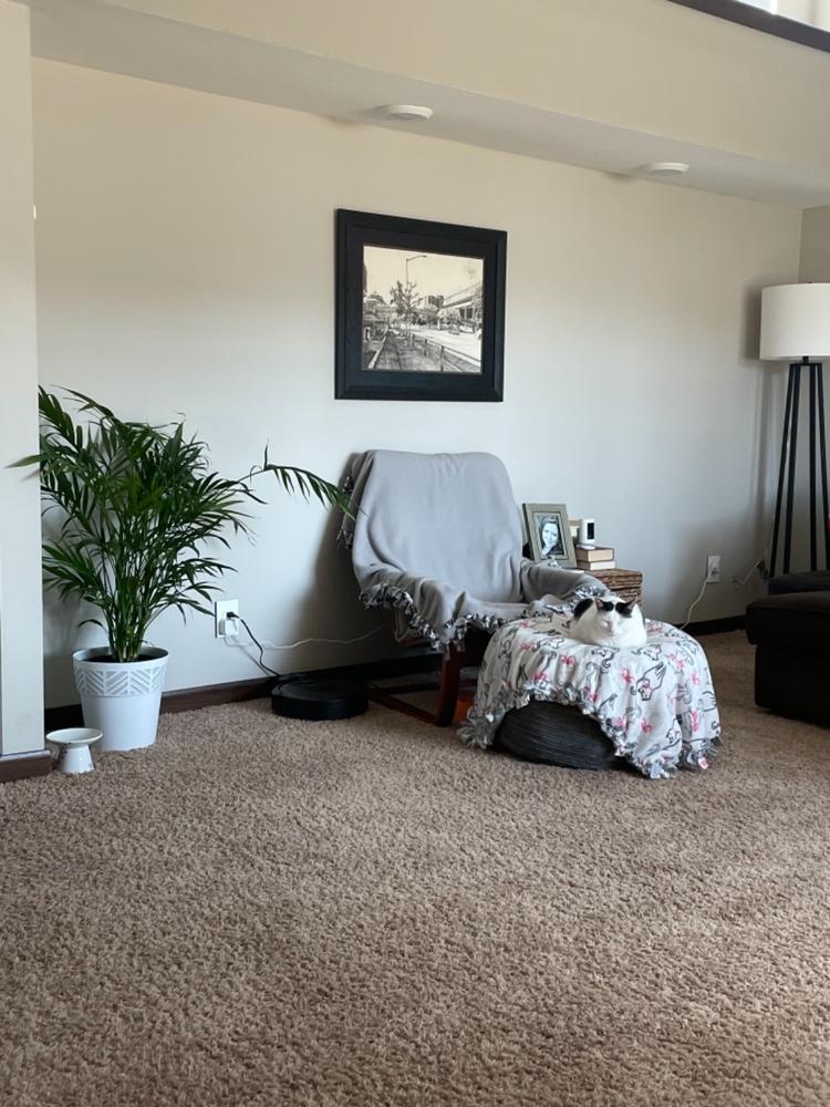 Pouf / Footstool - Terry Corduroy - Customer Photo From Kathryn Shirley