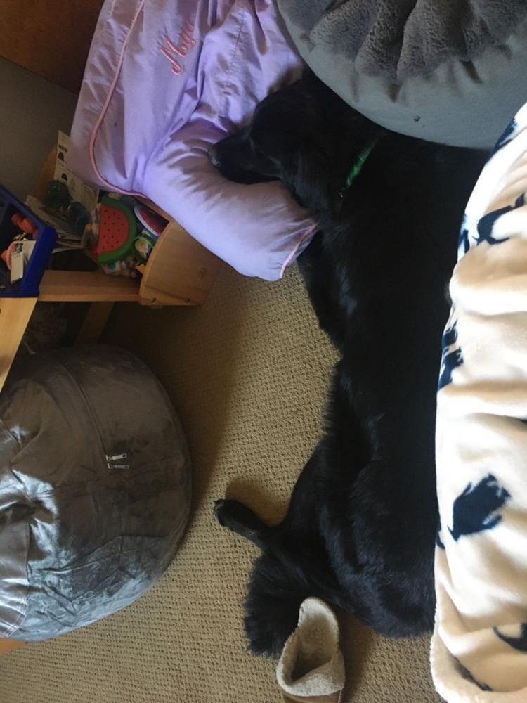 Pouf / Footstool - Plush Fur - Customer Photo From Anonymous