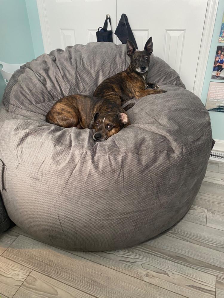 Adult Bean Bag Chair - Queen - NEST Chenille - Customer Photo From Anonymous