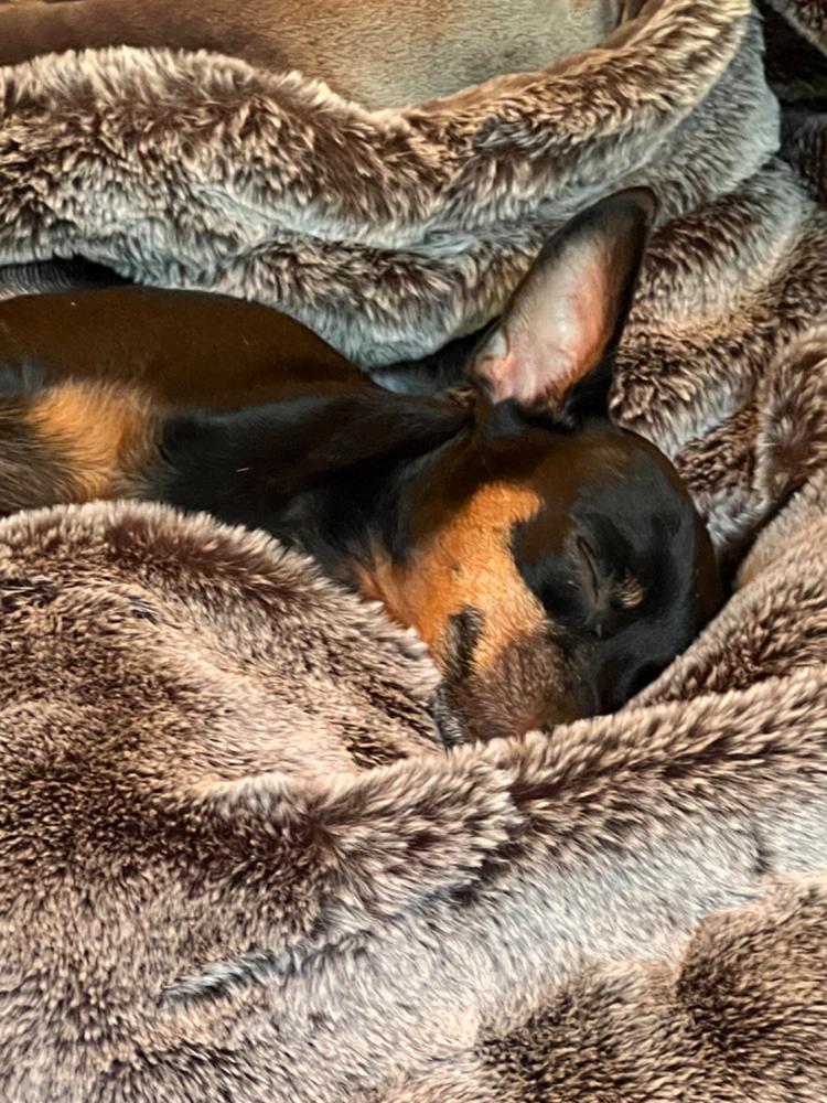 Pouf Footstool - Chinchilla - Customer Photo From Denise Stathoudakis