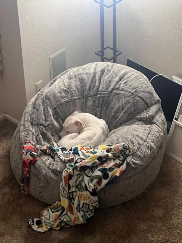 Adult Bean Bag Chair - Queen - NEST Chinchilla - Customer Photo From Aj Brunson