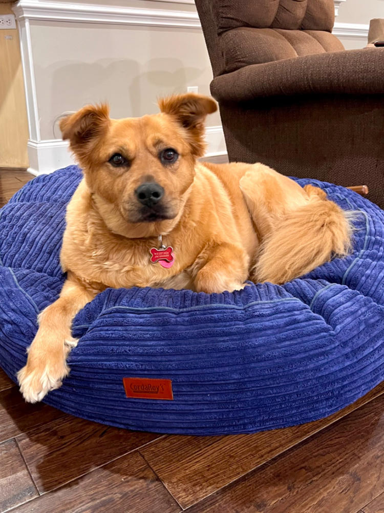 Dog Bed Cover - 40" Terry Corduroy (Waterproof) - Customer Photo From Allison Cobb