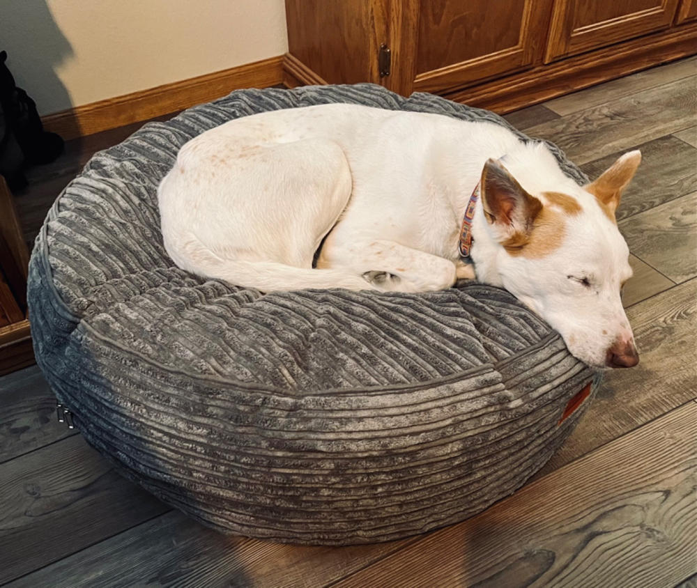 Cordaroys dog bed hotsell