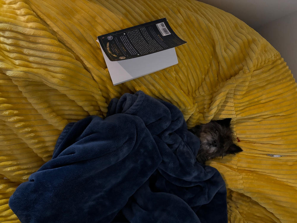 Bean Bag - King - Plush Corduroy - Customer Photo From Anonymous