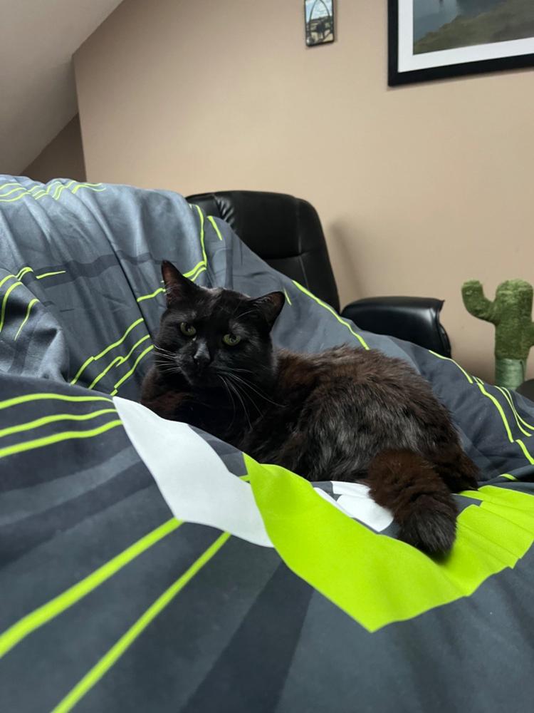 OpTic Gaming Bean Bag by CordaRoy’s - Customer Photo From Anonymous