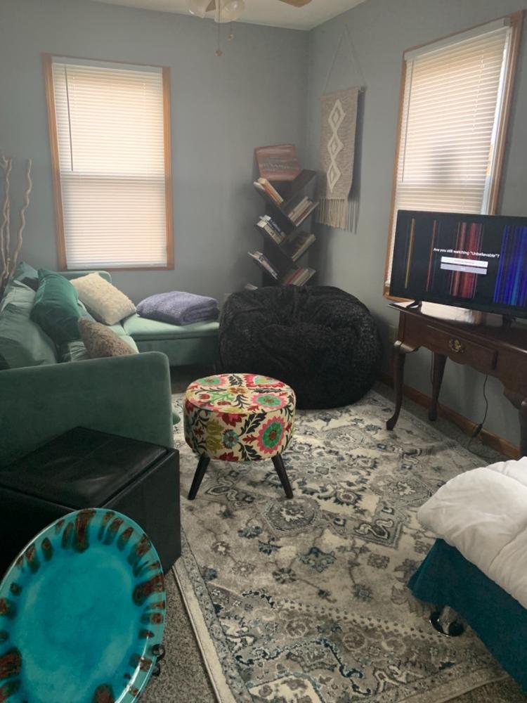 Bean Bag - Full - Faux Fur - Customer Photo From Anonymous