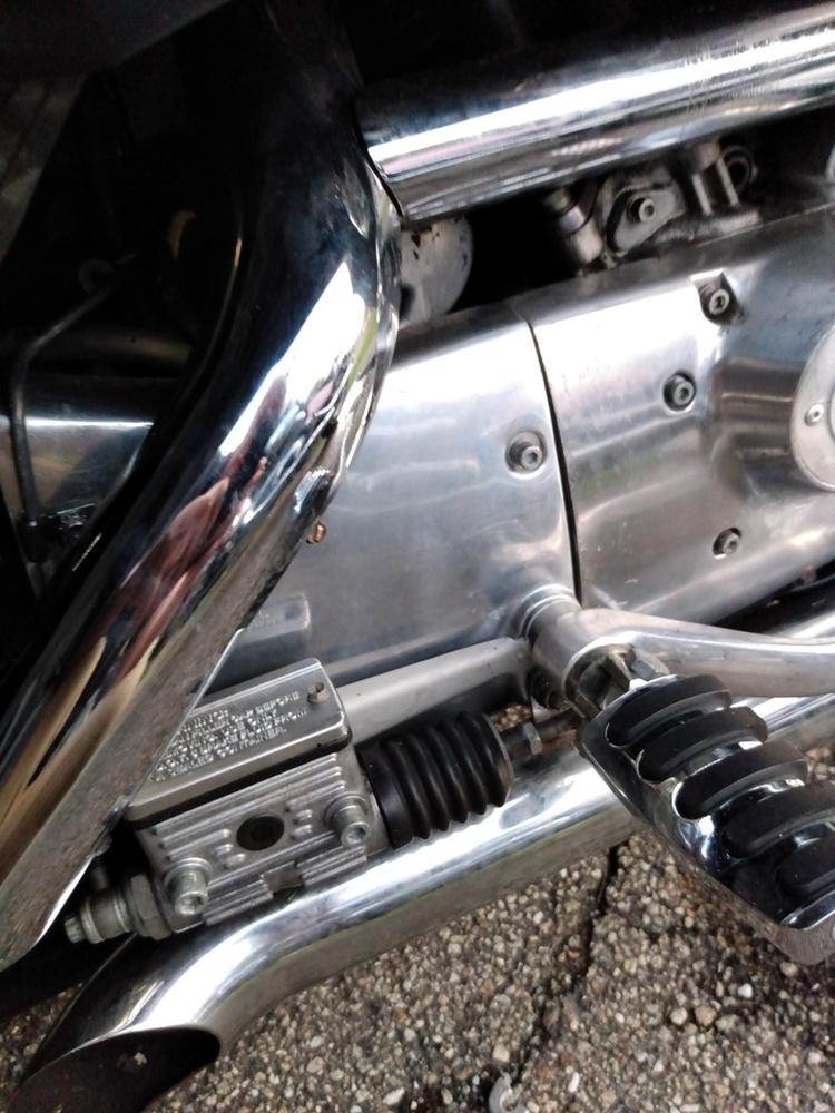 Sprocket Cover - Polished Aluminum - 1991-2003 Harley-Davidson Sportster OEM 34911-91 - Customer Photo From Stephen Brigham