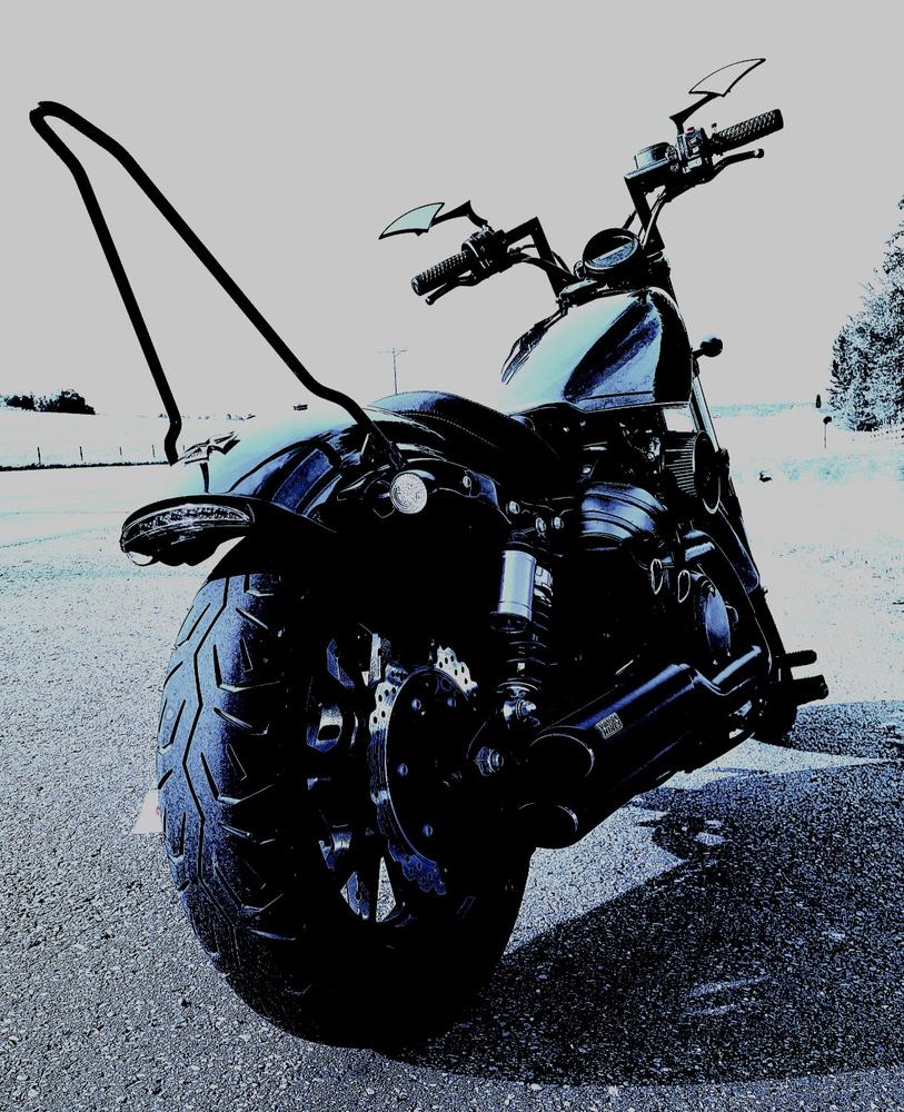 Tapered Sissy Bar or Strut Rod Machined Ends - Customer Photo From Frank Lafreniere