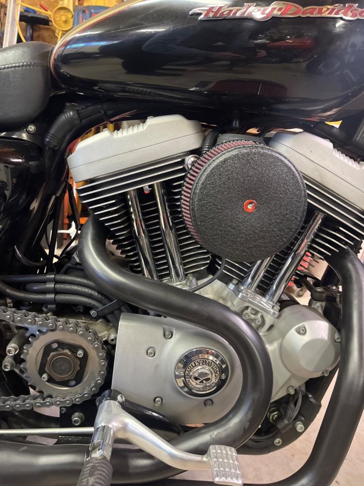 Arlen Ness Big Sucker Stage 1 Air Filter Kit - Black - 1991-2020  Harley-Davidson XL – Lowbrow Customs