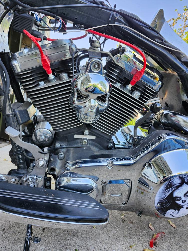 Sling Shot Clutch Control - Harley-Davidson 5 & 6 Speed - Stainless Steel - Customer Photo From Aaron Yaney
